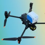 秋高氣爽，又是一年重陽……