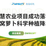 智易時(shí)代智慧農(nóng)業(yè)項(xiàng)目成功落地，助力沙窩蘿卜科學(xué)種植降本增效！